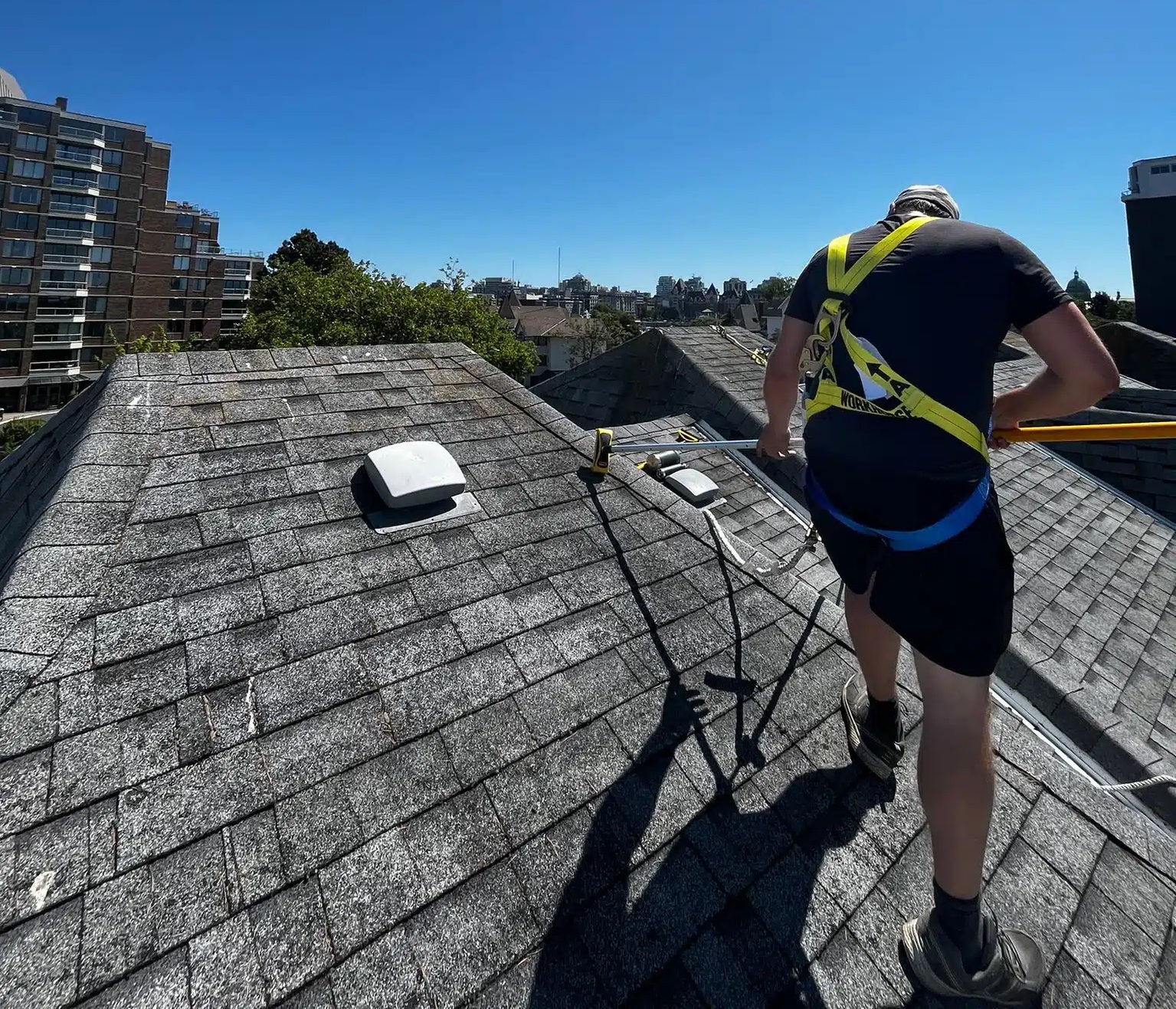 Man wearing a safety harness removing moss from a roof, ensuring safe moss removal practices.